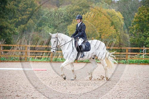 Colette's Combined Training at Blue Barn (1458) 