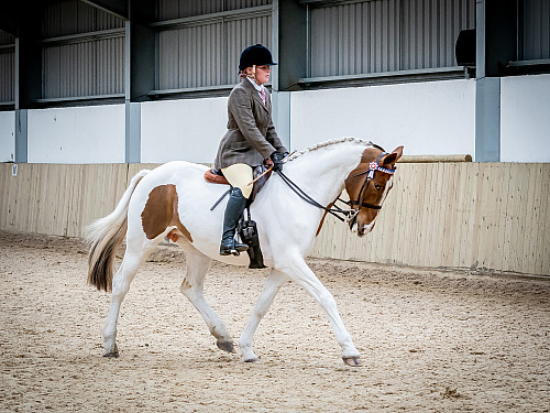 Colette's Showing at White Horse Farm (QP2317) 