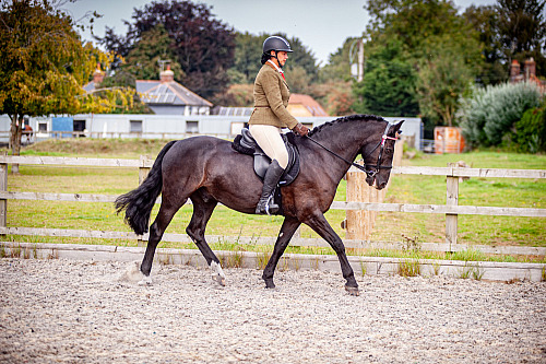 Colette's at Saddlesdane (QP2339) 