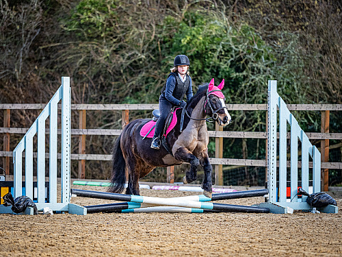 Breach Barn Showjumping (QP2404) 