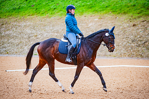 Breach Barn Dressage (QP2514) 
