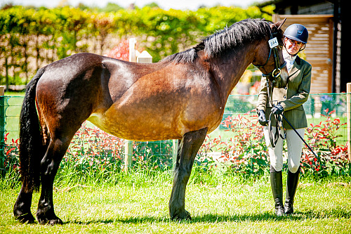  Colette's at Willow Farm (QP2529) 