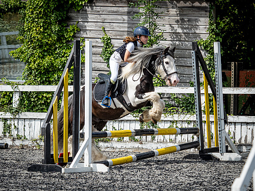 Colette's at Cobham Manor (QP2530) 