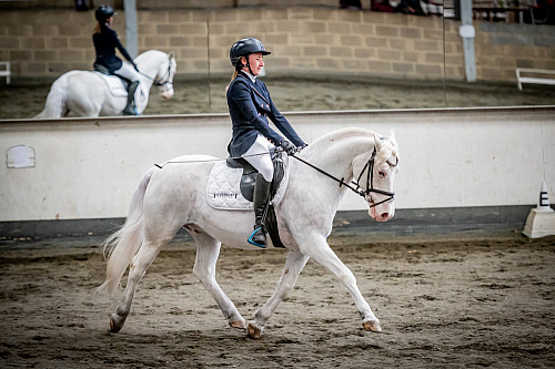 Redhorse Dressage at Willow Farm (QP2531) 