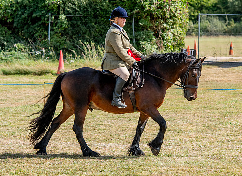 Colette's at Broadlees Farm (QP2534) 
