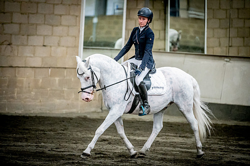  Redhorse Dressage at Willow Farm (QP2538) 