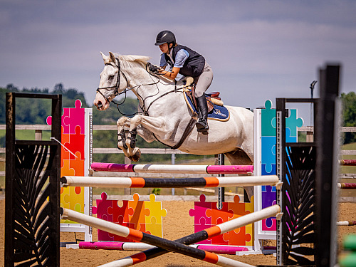  Breach Barn Showjumping (QP2539) 