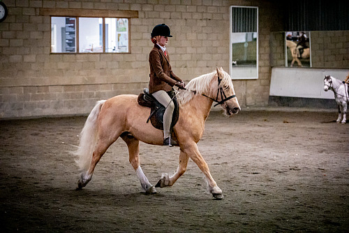 Colette's at Willow Farm (QP2540) 