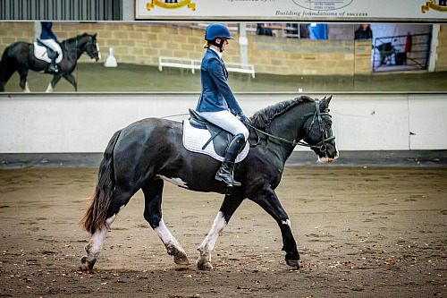 Redhorse Dressage at Willow Farm (QP2546) 