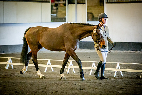 QP2608 Colette's at Willow Farm 2026-03-15 