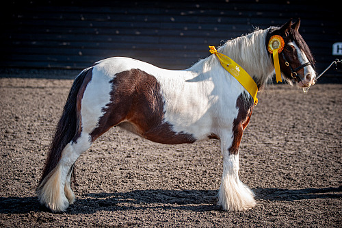 QP2612 Colette's at Willow Farm 2026-04-19 