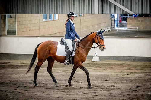  QP2619 Redhorse Dressage at Willow Farm 2026-04-31 